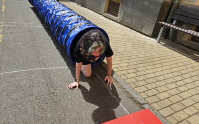 Překážková dráha