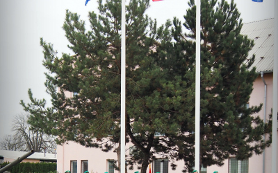 pb280012.jpg