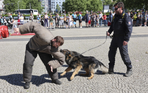 policie