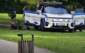 dynamická ukázka