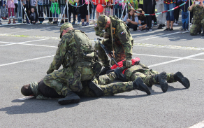 img_7656.jpg